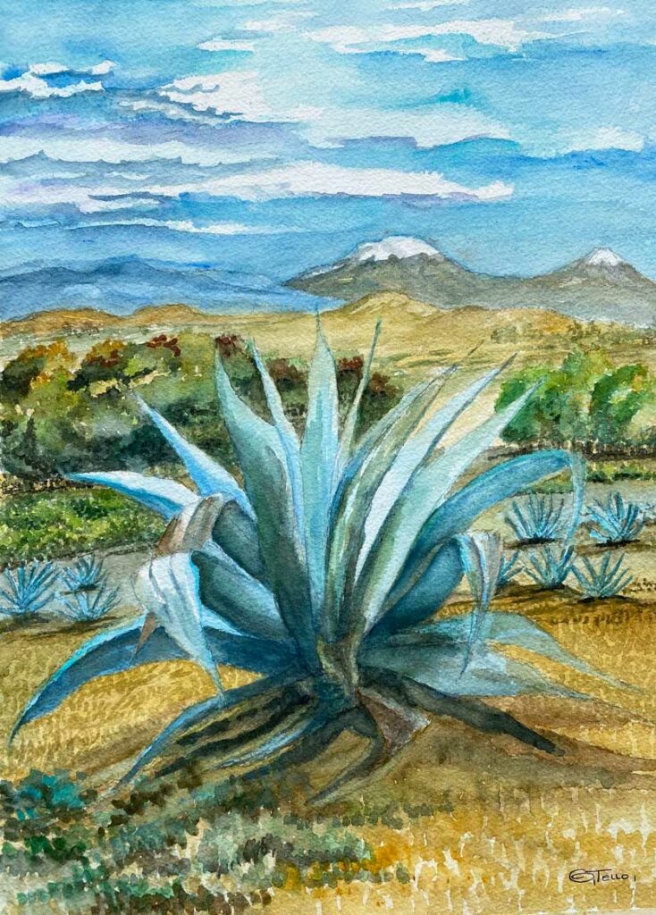 ACUARELA- AGAVE PAISAJE CON VOLCANES, PINTURA, CUADROS ARTE GALERIA