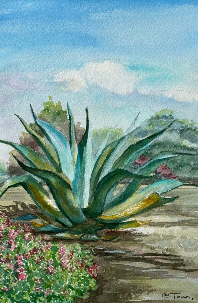 ACUARELA DE PAISAJE, ACUARELA DEL PEDREGAL