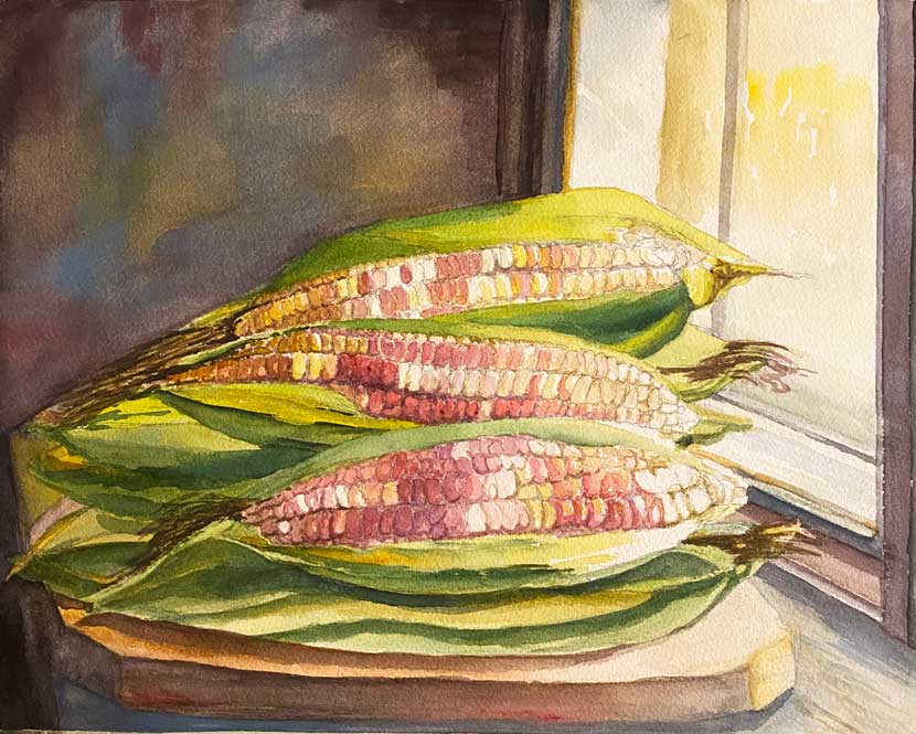 ELOTES, MAIZ DE COLOR ROSA